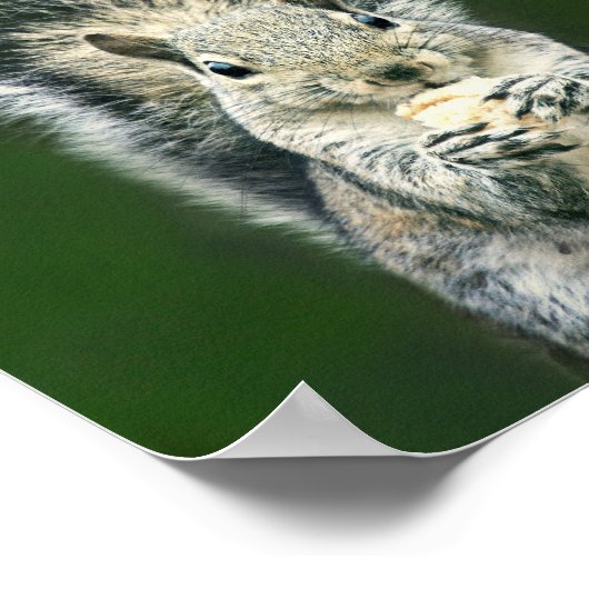 Kutest sluit deze achtertuin uit. poster (Hoek)