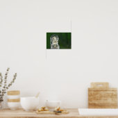 Kutest sluit deze achtertuin uit. poster (Keuken)