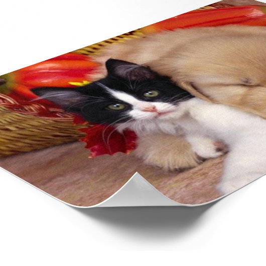 Kuthuisdieren Poster (Hoek)