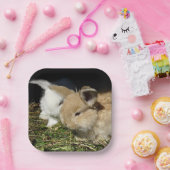 Kutjes papier borden papieren bordje (Feest)