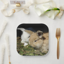 Kutjes papier borden