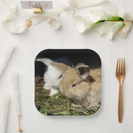 Kutjes papier borden papieren bordje (Huwelijk)