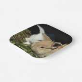 Kutjes papier borden papieren bordje (Gebogen)