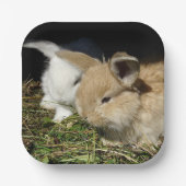 Kutjes papier borden papieren bordje (Voorkant)