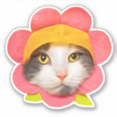 Kutkat in het bloeiend Pet Sticker (Voorkant)