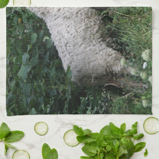 Kutschaafkeukenhanddoeken Theedoek (Gevouwen)