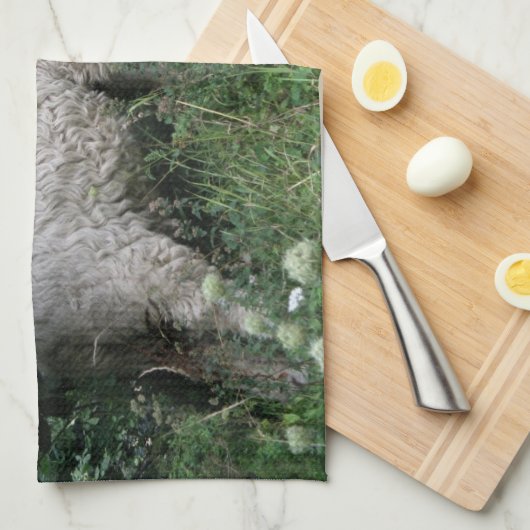 Kutschaafkeukenhanddoeken Theedoek (Quarter Fold)