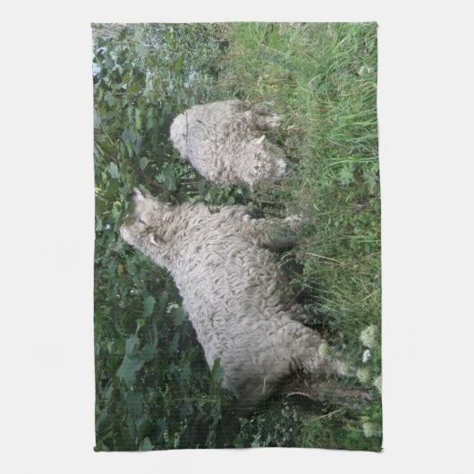 Kutschaafkeukenhanddoeken Theedoek (Verticaal)