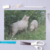 Kutschaafsel met een deklaag tissuepapier (Craft)