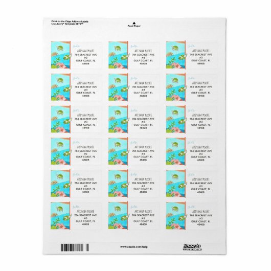 Kutschildpad voor Zeeen Etiket (Full Sheet)