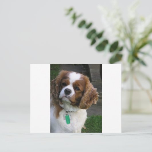 Kutste hond in de wereld briefkaart (Staand voorkant)