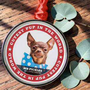 Kutste pop in de World Dog Pet Photo Metalen Ornament