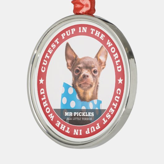 Kutste pop in de World Dog Pet Photo Metalen Ornament (Links)