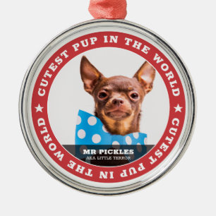 Kutste pop in de World Dog Pet Photo Metalen Ornament