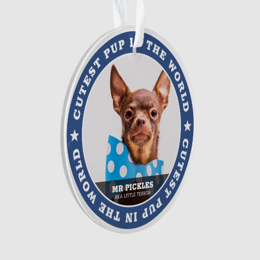 Kutste pop in de World Dog Pet Photo Ornament (voorkant)