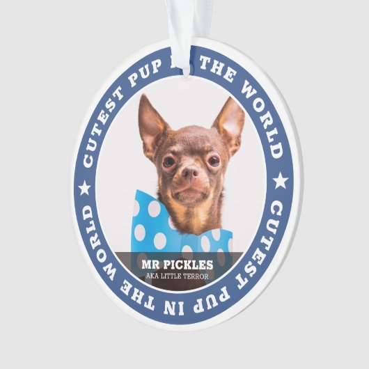 Kutste pop in de World Dog Pet Photo Ornament (voorkant)