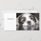 Kutste puppy ooit, Dank je. Bedankkaart (Voorkant)