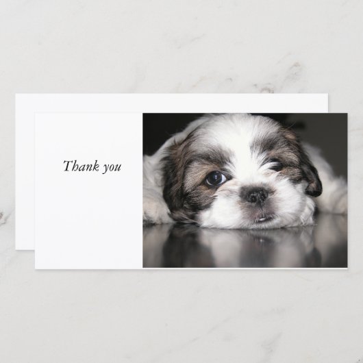 Kutste puppy ooit, Dank je. Bedankkaart (Voorkant / Achterkant)