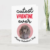 Kutste Valentijn ooit ..kaart van uw portaal Feestdagen Kaart (Voorkant)