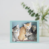 Kutten Briefkaart (Staand voorkant)