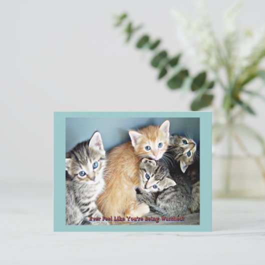 Kutten Briefkaart (Staand voorkant)