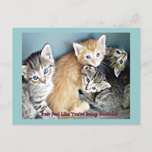 Kutten Briefkaart (Voorkant)