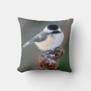 Kutten Mees Vogel Thema Worp Kussen