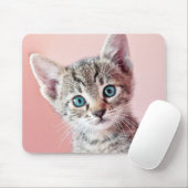 Kutten met blauwe ogen. muismat (Met muis)