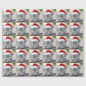 Kutten met kerstpet cadeaupapier (Vlak)