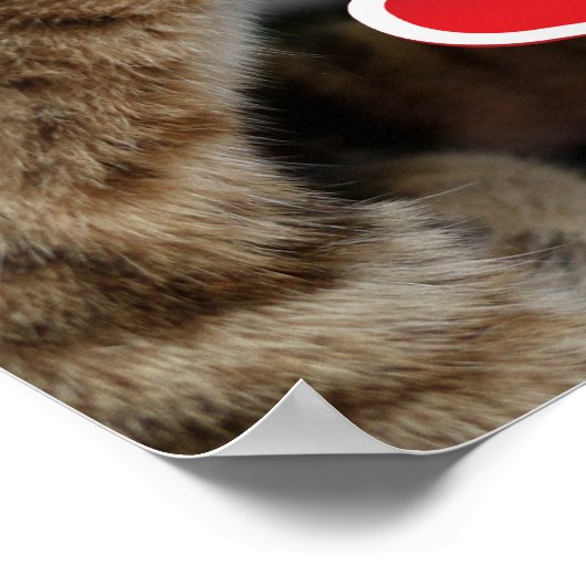 Kutten Poster (Hoek)