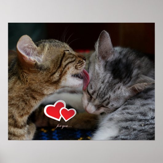 Kutten Poster (Voorkant)