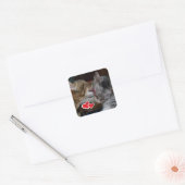 Kutten Vierkante Sticker (Envelop)