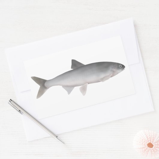 Kutum Rechthoekige Sticker (Envelop)