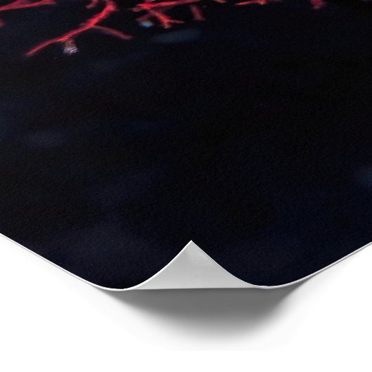 Kutvis in de Gilis Poster (Hoek)