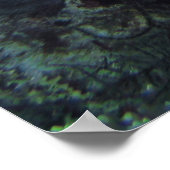 Kutvis op het rif poster (Hoek)