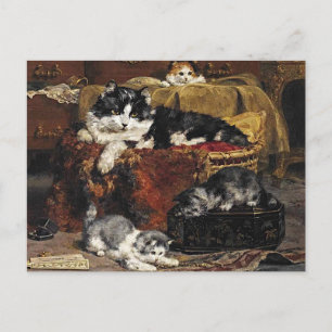 kutzwart en witte kat met Kittens Briefkaart