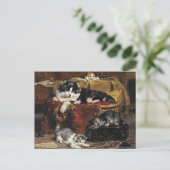 kutzwart en witte kat met Kittens Briefkaart (Staand voorkant)