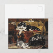 kutzwart en witte kat met Kittens Briefkaart (Voorkant / Achterkant)