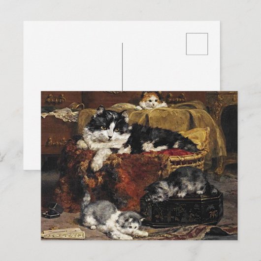 kutzwart en witte kat met Kittens Briefkaart (Voorkant / Achterkant)
