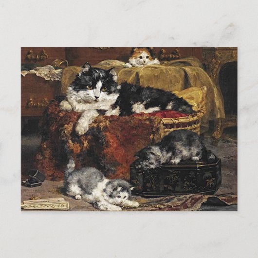 kutzwart en witte kat met Kittens Briefkaart (Voorkant)