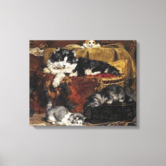 kutzwart en witte kat met Kittens Canvas Afdruk (Voorkant)