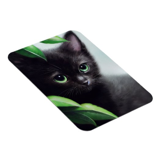 Kutzwarte keuken met groene ogen magneet (Rechterzijde)