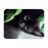 Kutzwarte keuken met groene ogen magneet (Horizontaal)