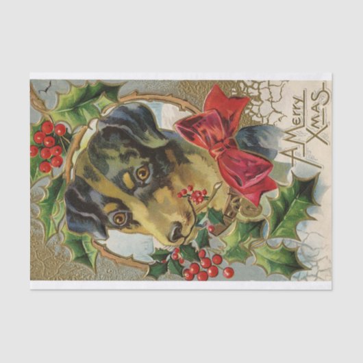 KUUT CHRISTMAS DOG MET RODE BOE EN HOLLYBERRIA TISSUEPAPIER (Voorkant)