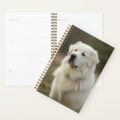 Kuvasz 2027 Planner (Display)