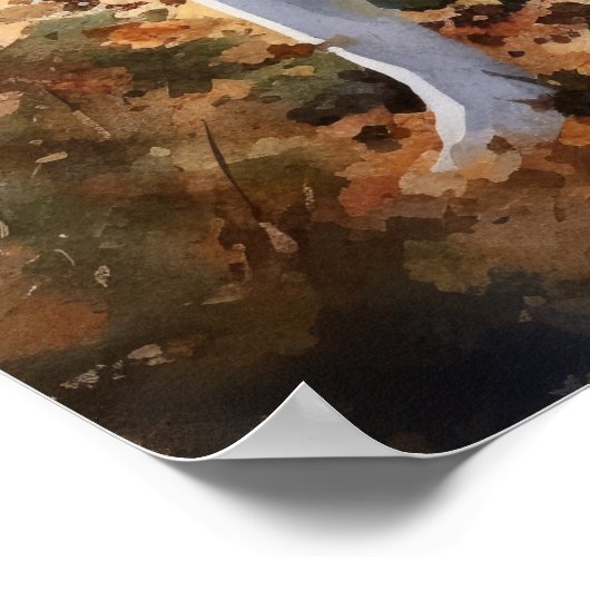 Kuvasz Dog Art Print Poster (Hoek)