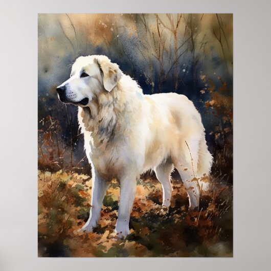 Kuvasz Dog Art Print Poster (Voorkant)