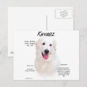 Kuvasz Geschiedenis Ontwerp Briefkaart (Voorkant / Achterkant)