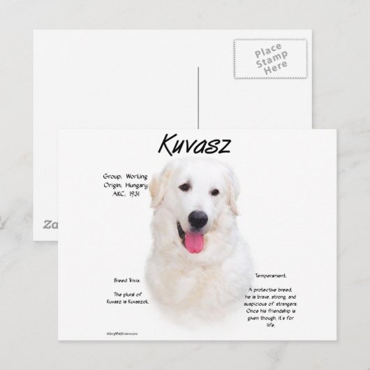 Kuvasz Geschiedenis Ontwerp Briefkaart (Voorkant / Achterkant)