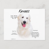 Kuvasz Geschiedenis Ontwerp Briefkaart (Voorkant)